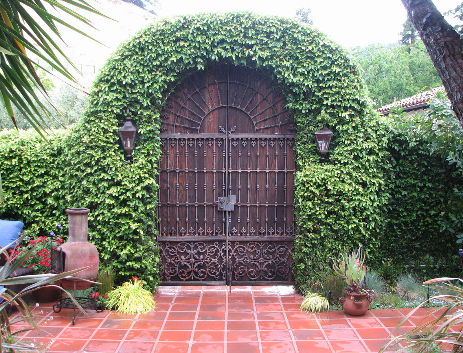 Vine-covered wall with Spanish style rustic wood and iron door