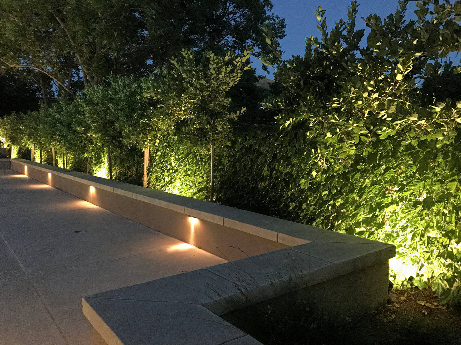 Border stone and concrete seating area with accent lighting on greenery wall and patio floor