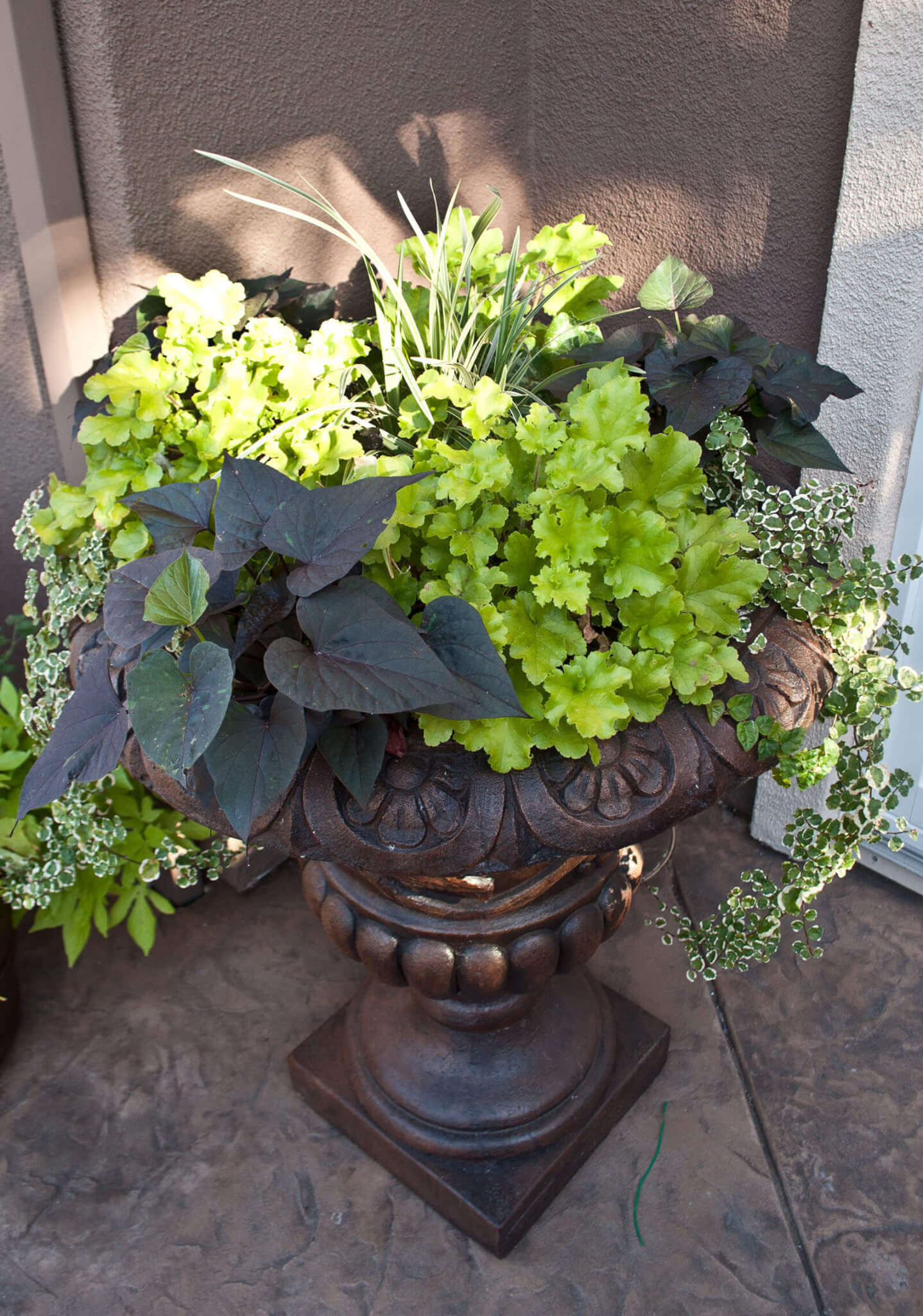 Decorative flower pot with green and dark green plants