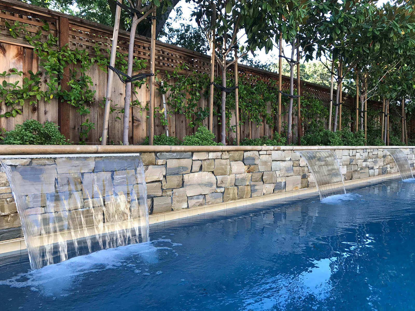Lap pool with sheer descent falls, vine-covered wooden fencing and young trees