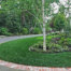 Brick-lined paved driveway with diverse greenery and trees