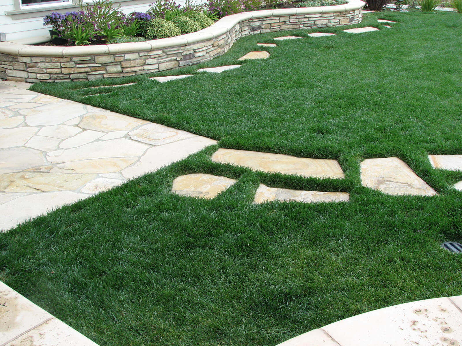 Flat stone laid in medium height lawn, going from stone patio to other sections
