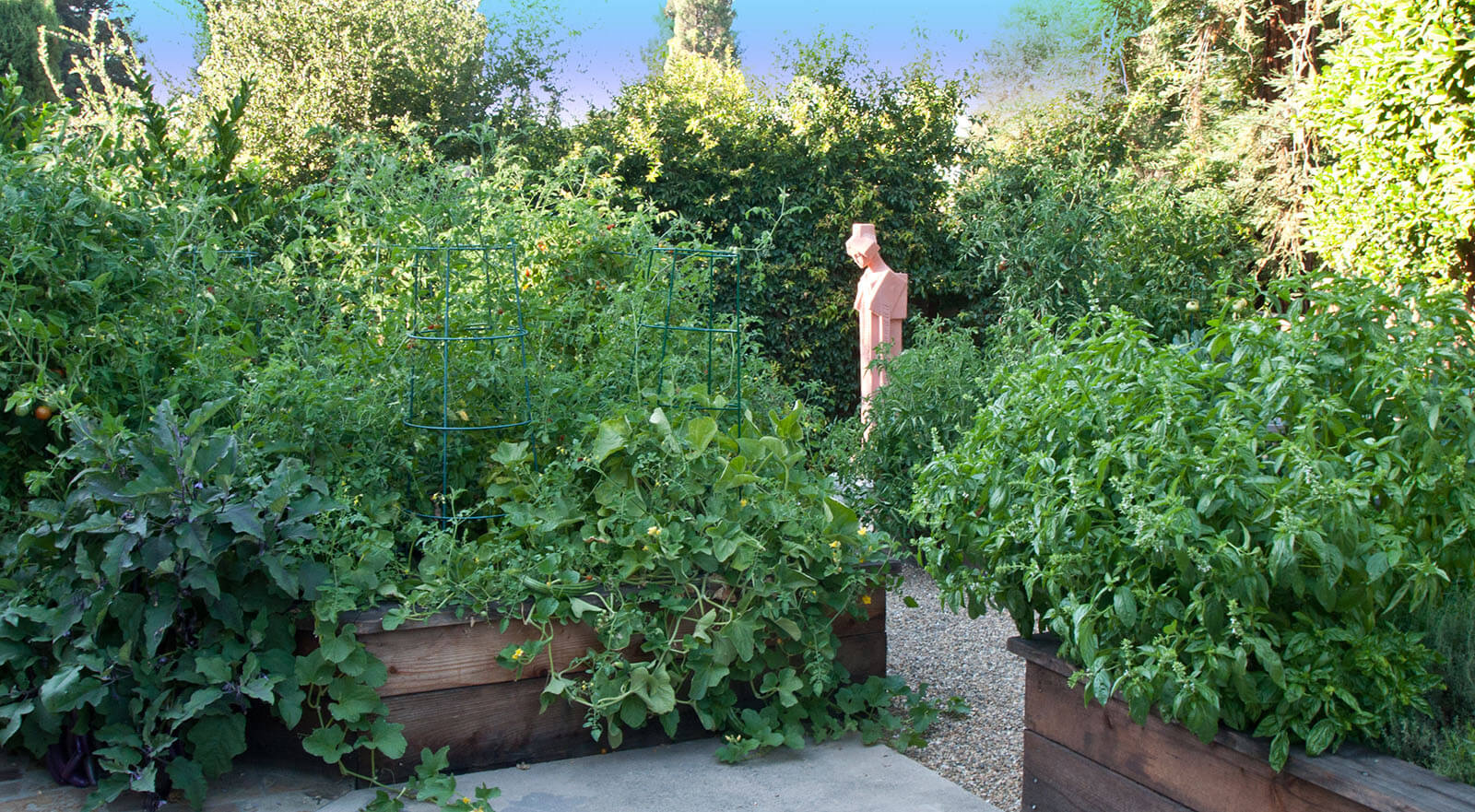 Harvest - This garden exploded in its raised beds, gorgeous