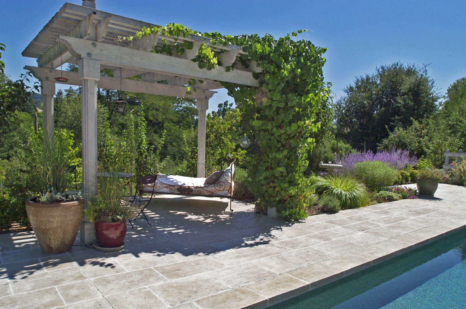 Classic white wood pergola with trained grapevine shelters poolside seating, with eclectic planted pots and colorful California-style garden