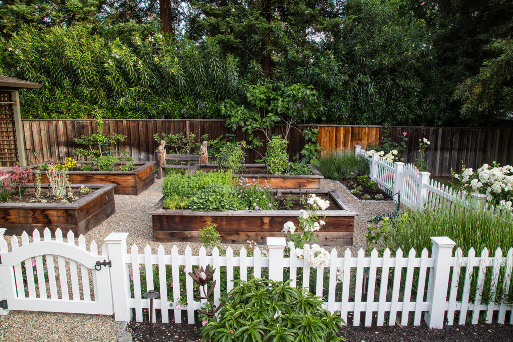 Picket fence bordered raised bed garden area