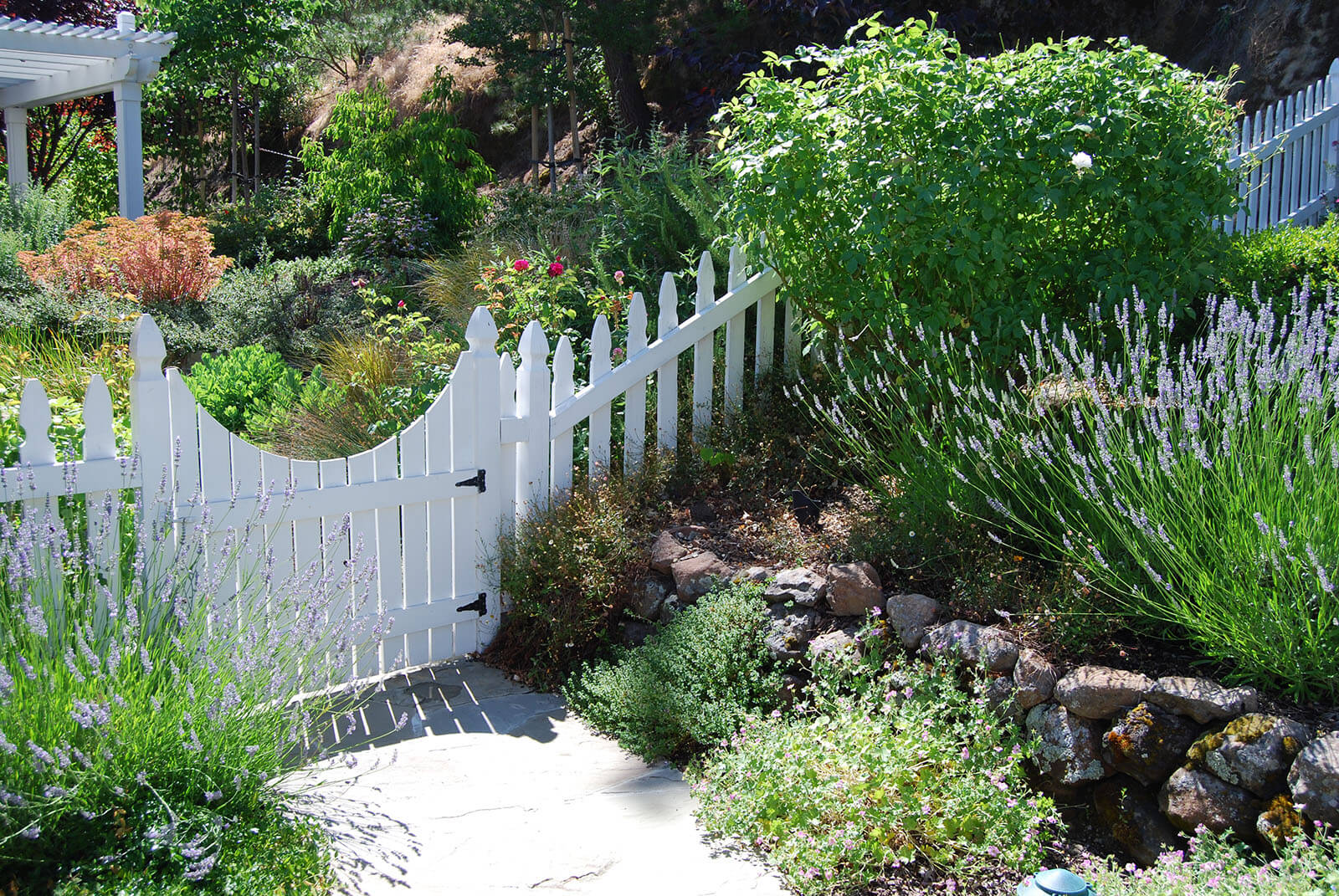 Harvest - stone walled elevated gardening bed with white picket fence and curved gate