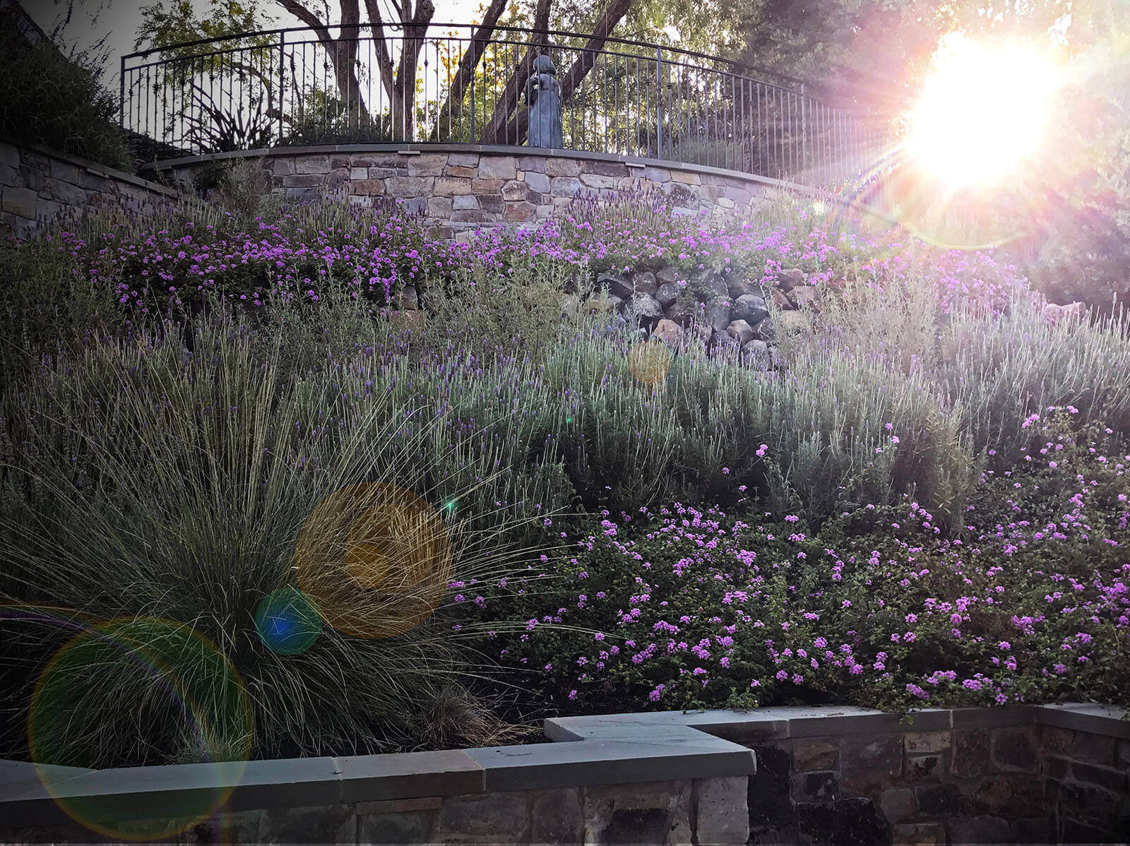 Lavender, among many purple flowers and a tall grass in a staged garden with stone walls