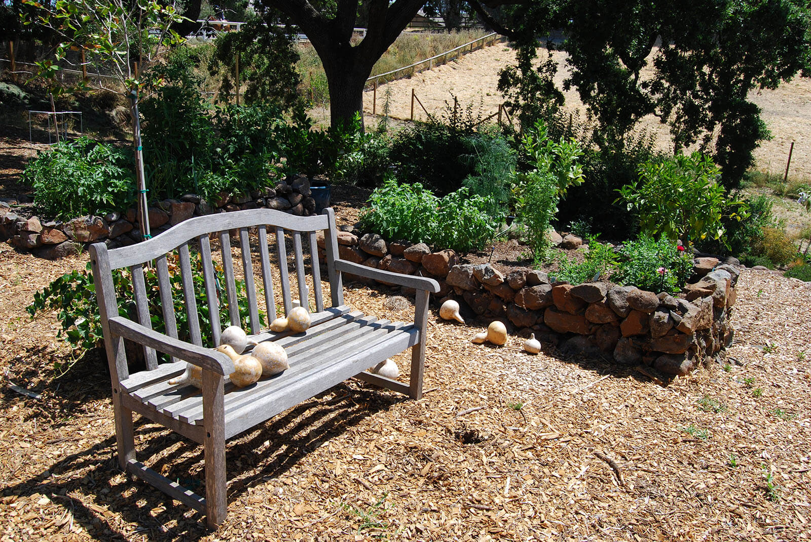 Natural stone style raised beds with mulch ground cover and wooden resting bench