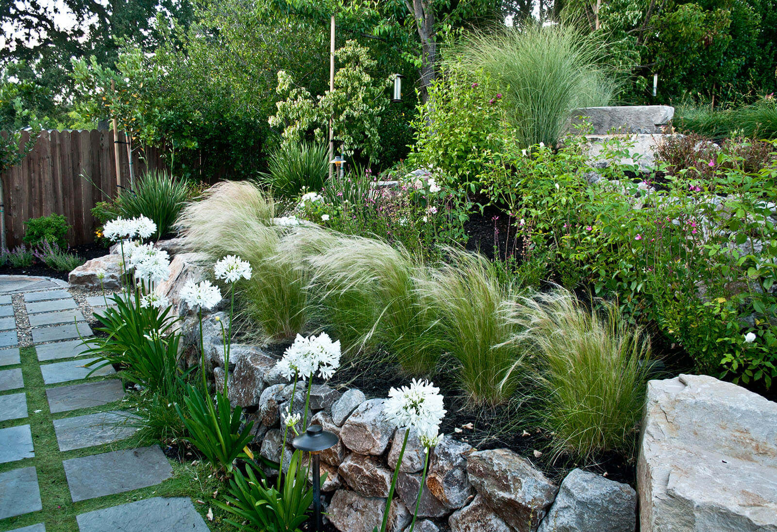 Medium and tall grasses mixed with bushes and white flowering plants in a staged rock wall garden
