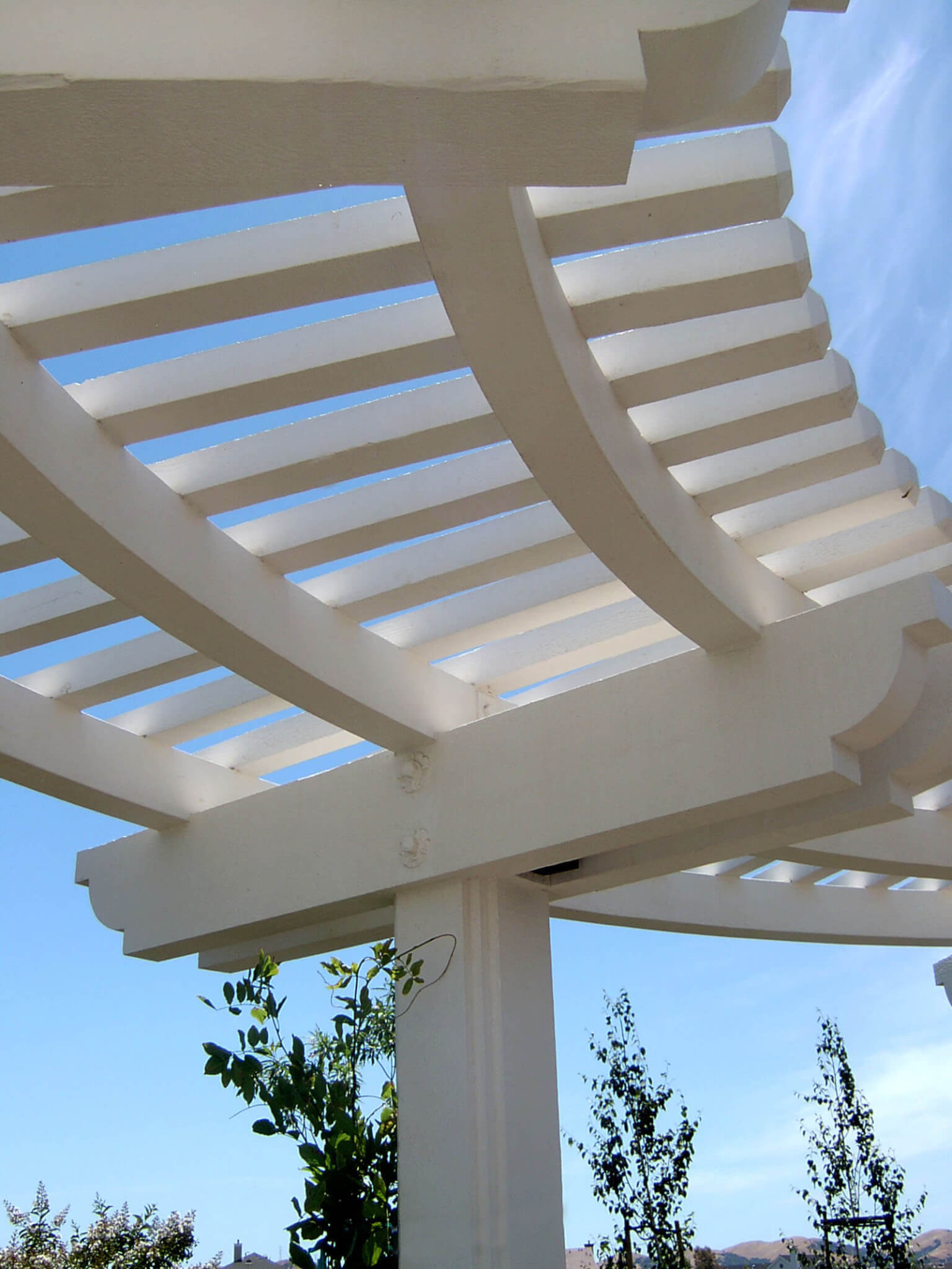 Curved classic white wood pergola detail with wisteria vines