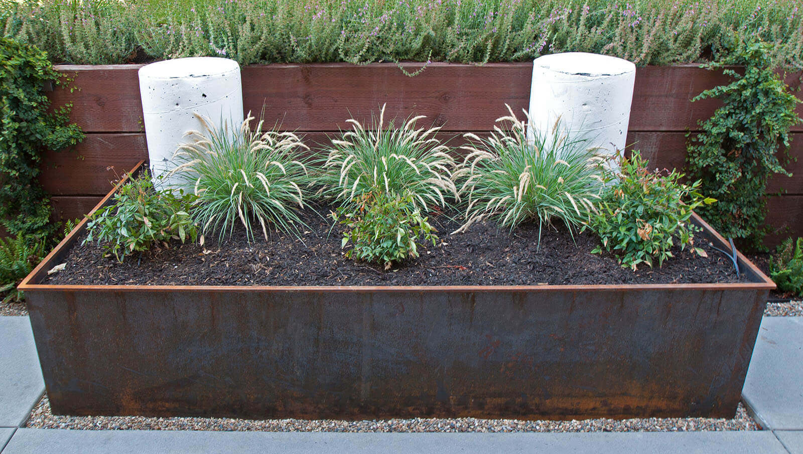 ornamental grasses and shrubs in a rustic metal raised bed with white concrete pillars and raised garden behin