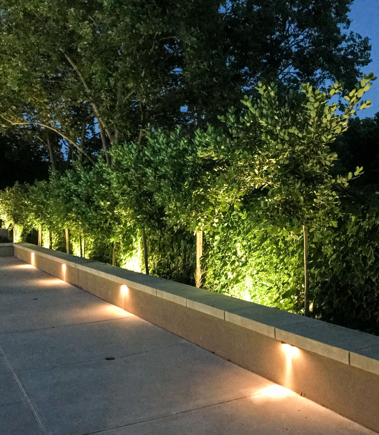 Border hedge with accent lighting and stone-capped seat wall