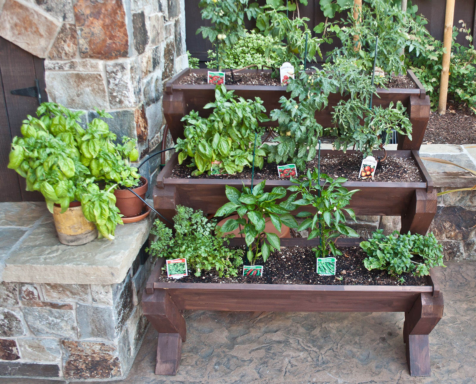 Stacked gardening beds with lots of yummy food growing