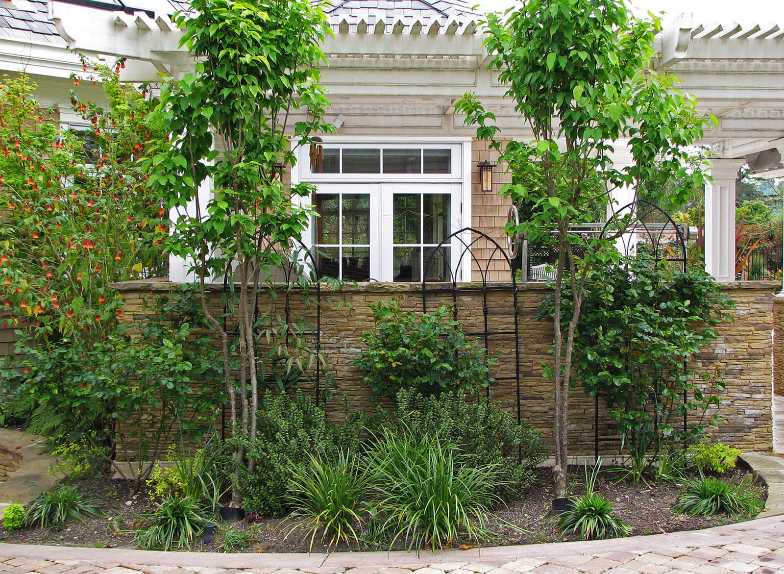 Trees and flowering shrubs along stone-lined brick path next to wrought iron trellises on a five foot stone tile wall by back patio with pergola