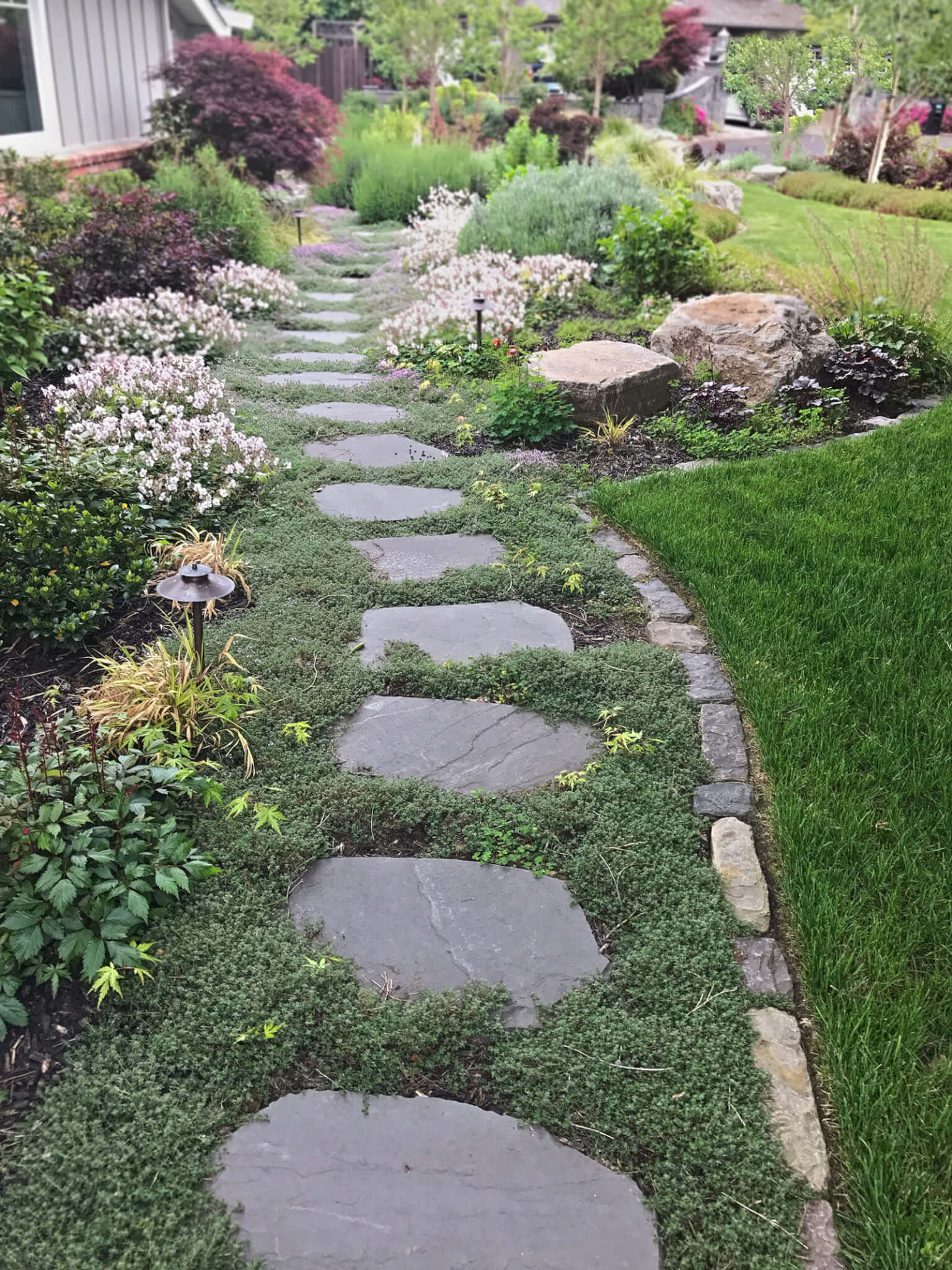 Stepping stone pathway wandering through ground cover and green yard