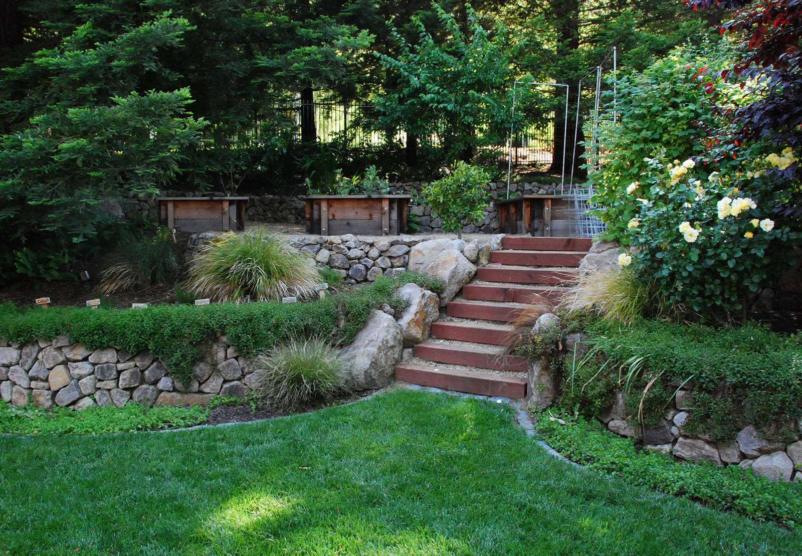 Harvest - Tree-shaded staged raised bed area with stairs