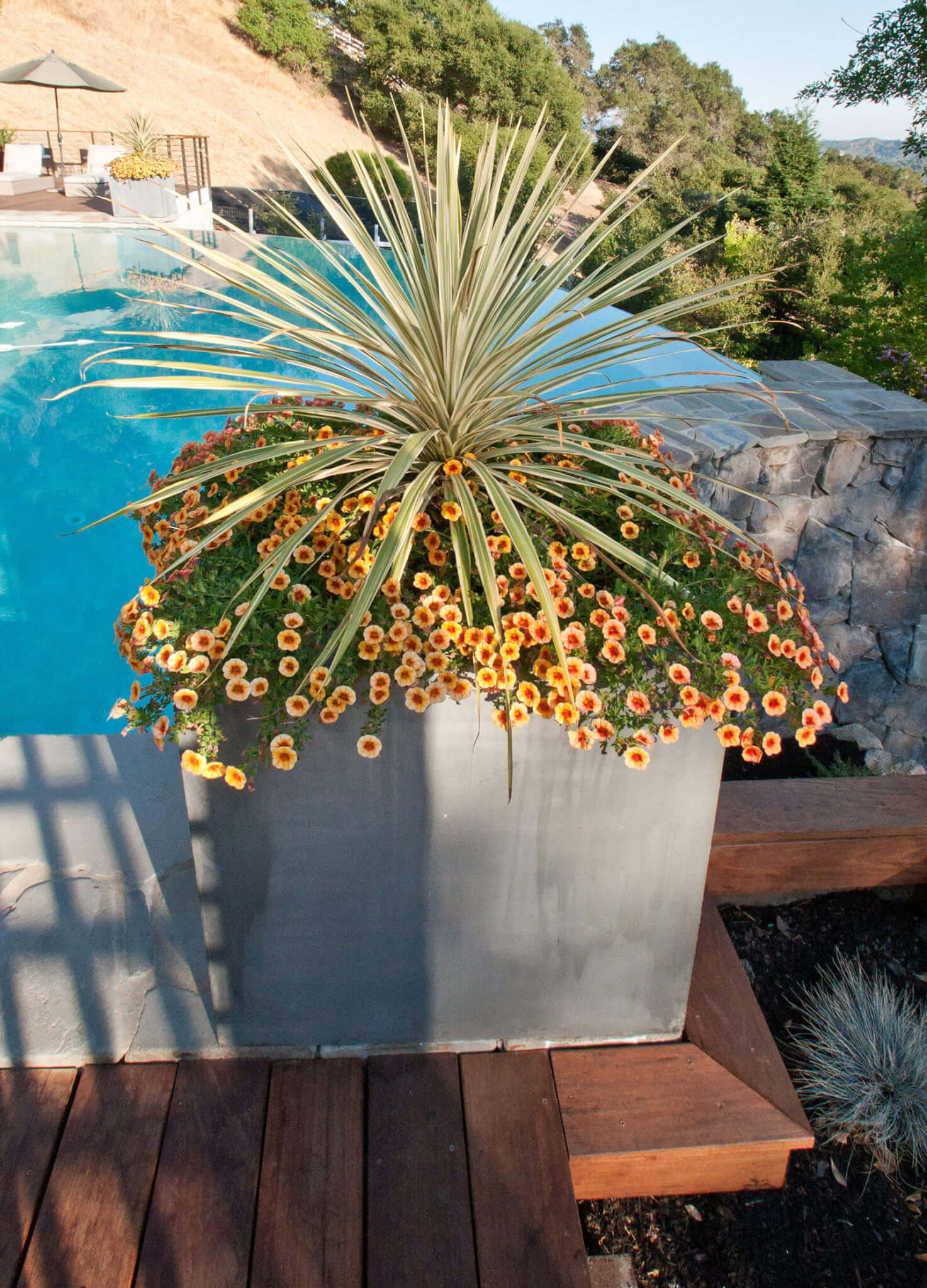 center shot of cubed stone flowerpot in front of an edge-less pool, overflowing with bright vibrant flowers