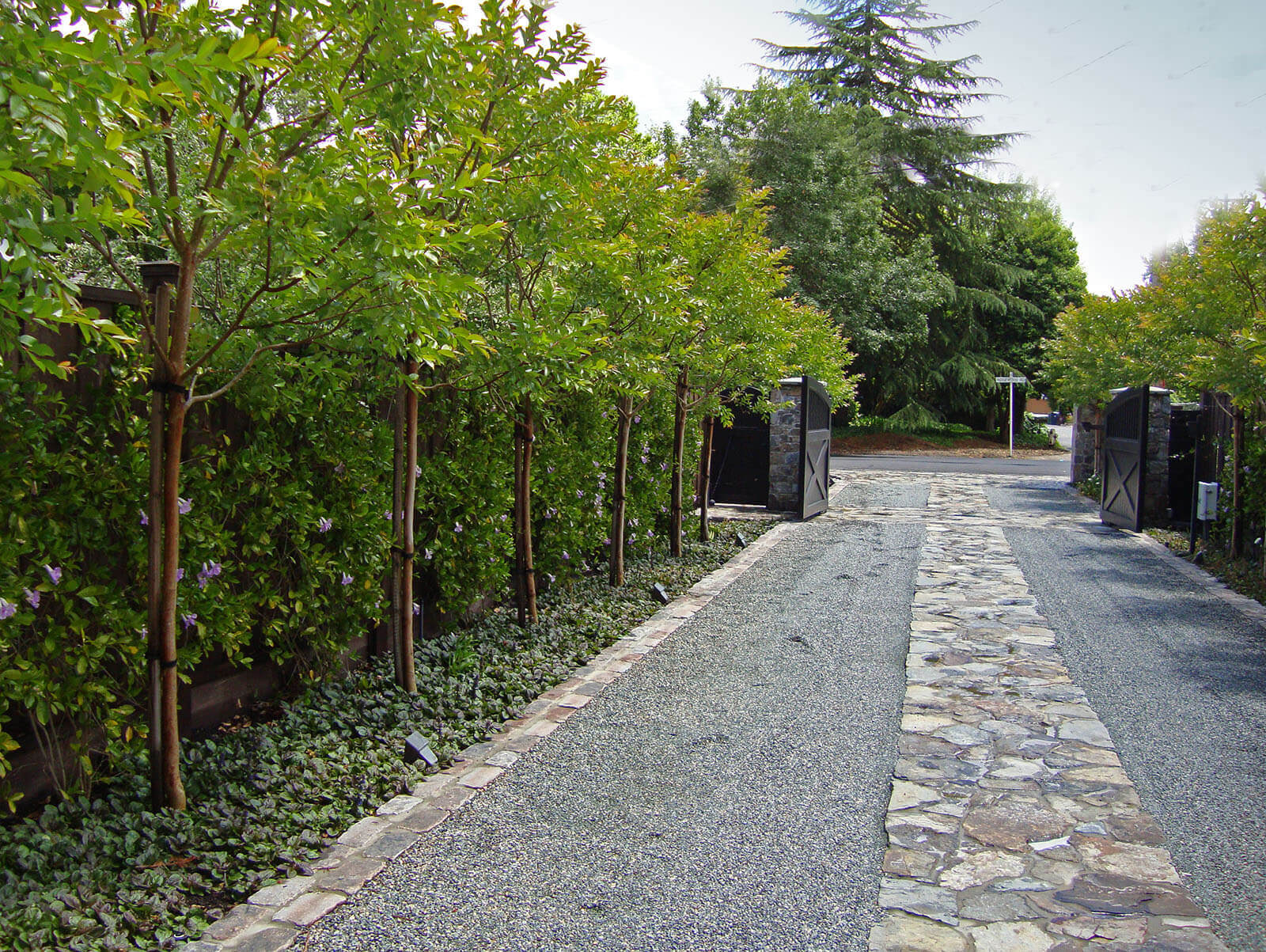 Tall hedge and screening trees border a gravel and stone driveway with automated gate