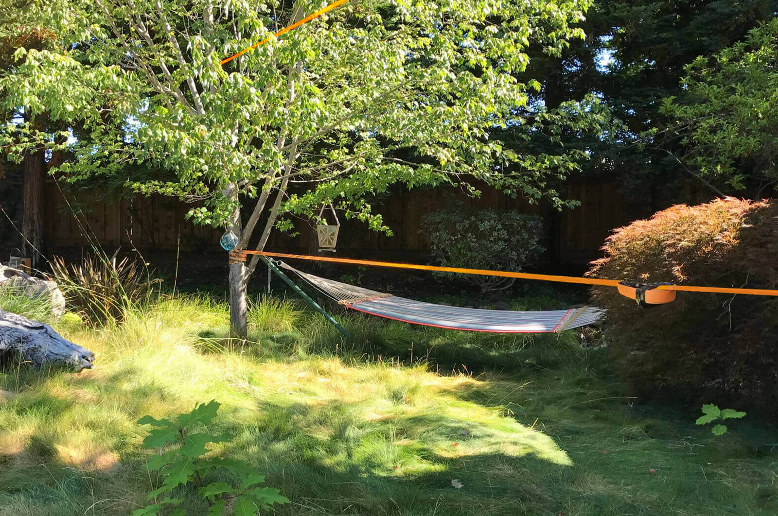 lazy hammock and tight-rope in sweeping grass yard