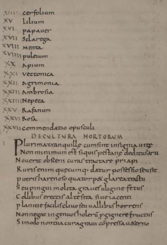 Original Page from Strabo's Hortulus, Latin, 840 CE