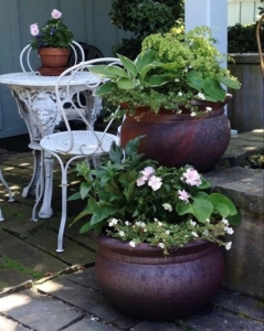 shade container plantings with light pink flowers and lush ferns