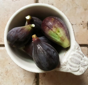 figs are delicious ripe, or can be dried, baked, or made into jam