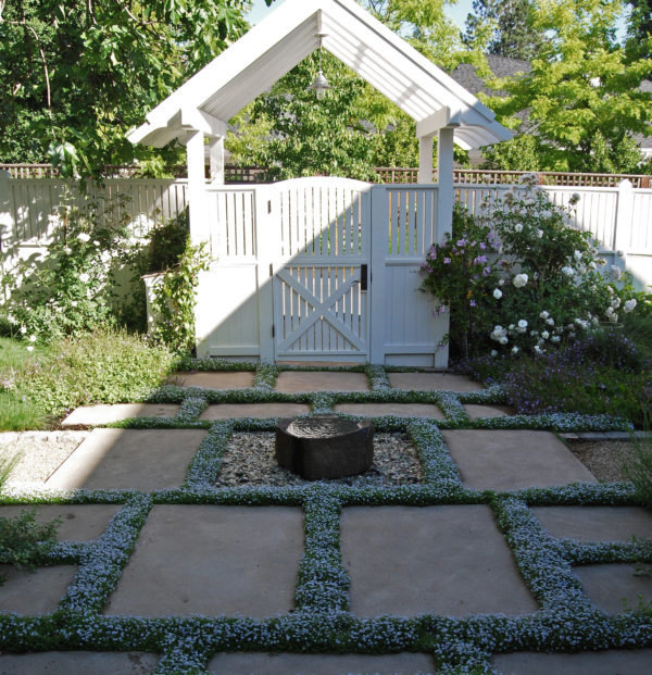 Zen fountain with blue star creeper groundcover through paver patio