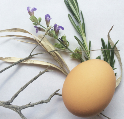 Close-up of egg, twigs and spring herbs