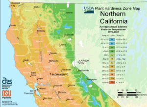 USDA map of Northern California