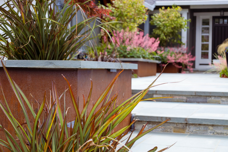 stunning Corten steel planters bring warmth to a contemporary planting scheme