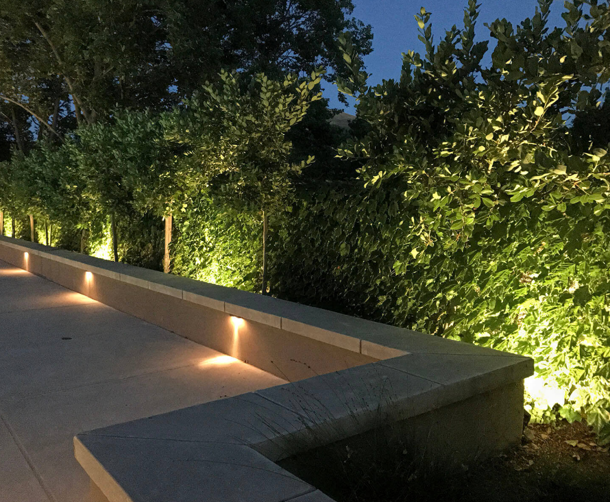 Privacy screen hedge with contemporary seat wall and landscape lighting