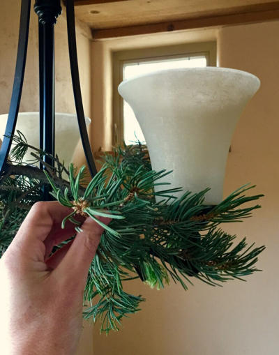 hand placing pine boughs in a contemporary chandelier