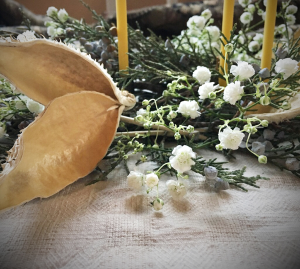 Milkweed pods, Gypsophila, and Juniper Chanukah arrangement