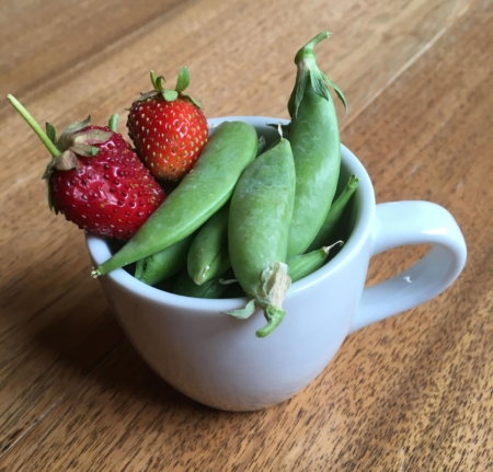 Cup of homegrown peas and strawberries