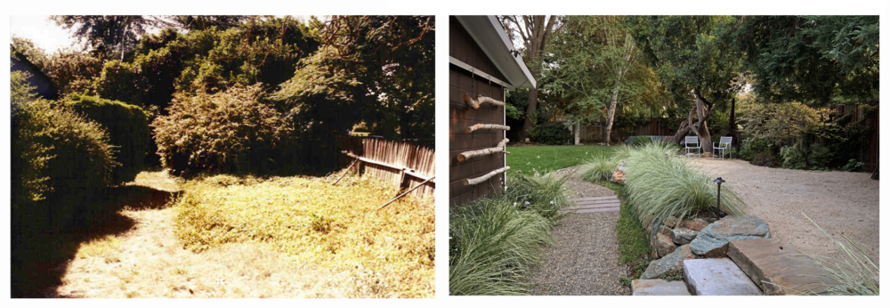 J. Montgomery side yard before and after