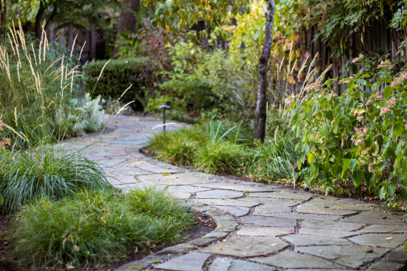 Flagstone path through all-green garden