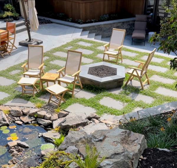 Elegant backyard pond attracts wildlife